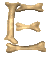 e_clr.gif