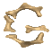 g_clr.gif