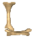 l_clr.gif