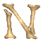 n_clr.gif
